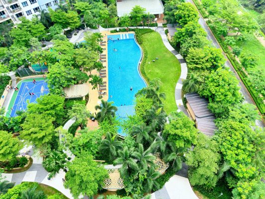 Hồ bơi chung cư Palm Heights